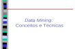 Data Mining: Conceitos e Técnicas. DM, DW e OLAP.