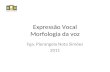 Expressão Vocal Morfologia da voz Fga. Pierangela Nota Simões 2011.