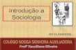 Introdução a Sociologia OS CLÁSSICOS..... 2 Ciências Sociais – para que? Sociedade Estado Economia Valores (cultura) Sociologia – produz conhecimento.