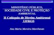 II Colóquio de Direito Ambiental UFRGS Ana Maria Moreira Marchesan MINISTÉRIO PÚBLICO, SOCIEDADE CIVIL E PROTEÇÃO AMBIENTAL.