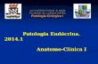 Patologia Endócrina. 2014.1 Anatomo-Clínica I Patologia Endócrina. 2014.1 Anatomo-Clínica I Universidade Federal da Bahia Faculdade de Medicina-HUPES Patologia.