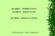 BIOMAS TERRESTRES BIOMAS AQUATICOS BIOMAS BRASILEIROS Professora: Ana Pimentel.