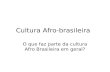 Cultura Afro-brasileira O que faz parte da cultura Afro Brasileira em geral?
