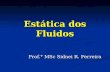 Estática dos Fluidos Prof.° MSc Sidnei R. Ferreira.