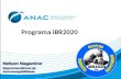 Programa iBR2020 Nelson Nagamine Superintendência de Aeronavegabilidade Nelson Nagamine Superintendência de Aeronavegabilidade.
