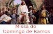 Missa do Domingo de Ramos. CANTO DE ENTRADA Acolhida e Bênção dos Ramos.