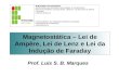 Magnetostática – Lei de Ampère, Lei de Lenz e Lei da Indução de Faraday Prof. Luis S. B. Marques MINISTÉRIO DA EDUCAÇÃO SECRETARIA DE EDUCAÇÃO PROFISSIONAL.