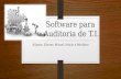 Software para Auditoria de T.I. Allyson, Eliezer, Micael, Inácio e Wecliton.