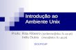 Introdução ao Ambiente Unix Profs: Rita Ribeiro (rpribeiro@dcc.fc.up.pt) Inês Dutra (ines@dcc.fc.up.pt) DCC/FCUP.