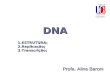 DNA 1.ESTRUTURA; 2.Replicação; 3.Transcrição; Profa. Aline Baroni.