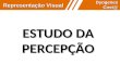 Representação Visual Dyogenes Cost@ ESTUDO DA PERCEPÇÃO.