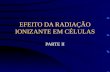 EFEITO DA RADIAÇÃO IONIZANTE EM CÉLULAS PARTE II.