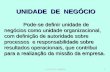 Prof.Renato Logiudice1 UNIDADE DE NEGÓCIO Pode-se definir unidade de negócios como unidade organizacional, com definição de autoridade sobre processos.