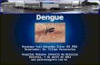 Dengue Henrique Yuji Watanabe Silva (R1 PED) Orientador: Dr. Filipe Vasconcelos Hospital Materno Infantil de Brasília Brasília, 7 de abril de 2014 .