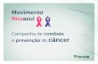 Movimento Rosazul Campanha de combate e prevenção do câncer.