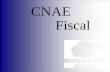 Governo de Sergipe Secretaria de Estado da Fazenda Atividades realizadas para implantação da CNAE-Fiscal Correlação entre o CNAE-Fiscal e o CAE Categorização.