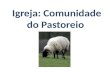 Igreja: Comunidade do Pastoreio. A Bíblia nos compara a ovelhas.