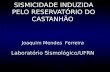 SISMICIDADE INDUZIDA PELO RESERVATÓRIO DO CASTANHÃO Joaquim Mendes Ferreira Laboratório Sismológico/UFRN.