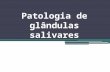 Patologia de glândulas salivares. Glândulas salivares.