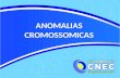 ANOMALIAS CROMOSSOMICAS. Anomalias Hereditárias Alterações transmitidas de pais aos filhos através do material genético Anomalias gênicas Anomalias gênicas.