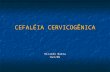 CEFALÉIA CERVICOGÊNICA Ricardo Baeta Out/09. INTRODUÇÃO O termo “cefaléia cervicogênica” designa a dor sentida na cabeça ou na face, mas é causada por.