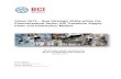BCI Industry Report