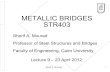Design of elastomeric bearings for steel bridges