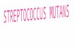 INTRODUCCION El grupo streptococcus mutans, ha sido descrito recientemente como un constituyente de la flora bacteriana oral del hombre desde hace miles.