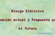Riesgo Eléctrico Situación actual y Propuesta para el futuro Ing. Gerardo Salorio.