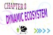 chapter8 biology dynamic ecosystem