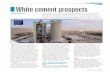 White Cement Prospect ICR 2008-12