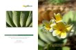 Med_plants_booklet Plants of the Medicinal Garden