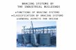Bracing Systems of Industrial Buildings