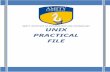 Unix practical  File