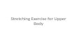 Stretching Exercise for Upper Body