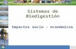 Sistemas de Biodigestión Impactos socio - económicos.