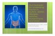 Gut Dysbiosis: An Underlying Factor in Autism, ADHD, Allergies, Asthma and More