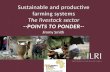 Sustainable and productive farming systems: The livestock sector
