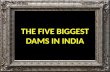 The five biggest dams in india
