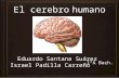 El cerebro humano - Israel y Eduardo
