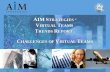 Virtual Teams Trends Report
