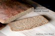 The Effect of Temperature on Bread Yeast