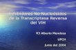 Inhibidores No Nucleósidos de la Transcriptasa Reversa del VIH R3 Alberto Mendoza UPCH Junio del 2004.