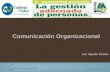 Lic. Myrian Ponce Comunicación Organizacional. OBJETIVOS Conocer el Proceso de Comunicación Responsable. Conocer los componentes de la Comunicación Organizacional.