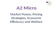A2 Microeconomics Pricing Power