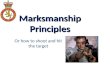 Marksmanship principles modified