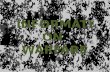 IW_Whitehat - Information Warfare