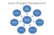 Changes Management - ACE case study