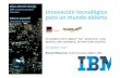 Innovation @ ibm & leinn the hub 2013 v2