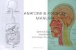 Anatomi Fisiologi Manusia Modul